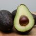 Avocado's Aan de Top: Waarom Specialisatie in de Groothandel Werkt